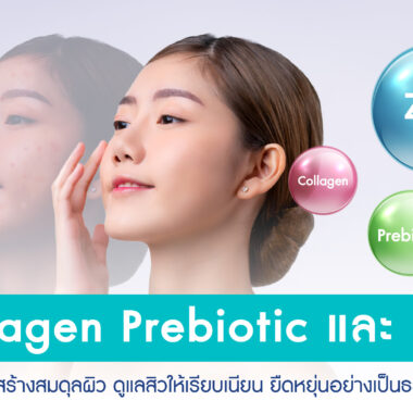 รู้ลึกเรื่องคอลลาเจน ก่อนตัดสินใจเลือกซื้อ